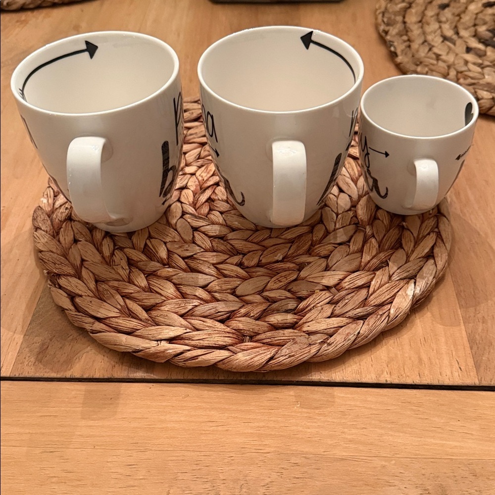 Cypress Home‎ Bear Family Mug Set of 3 - Buffalo Plaid Mama Papa Baby Bear Mugs - Picture 4 of 6